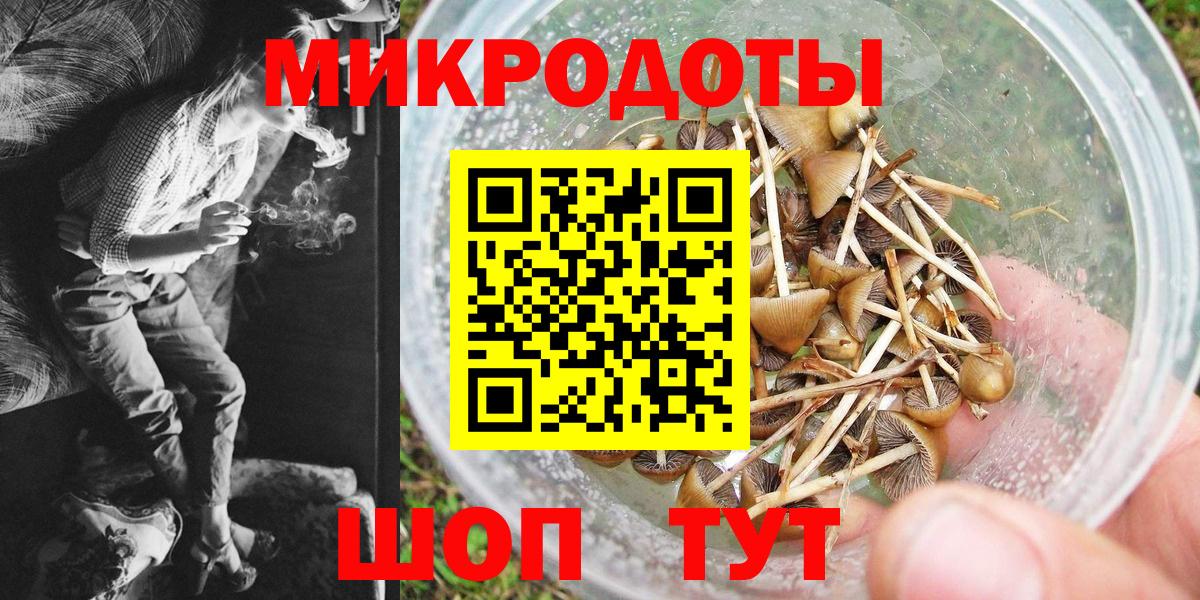 Псилоцибиновые грибы Psilocybe Джанкой