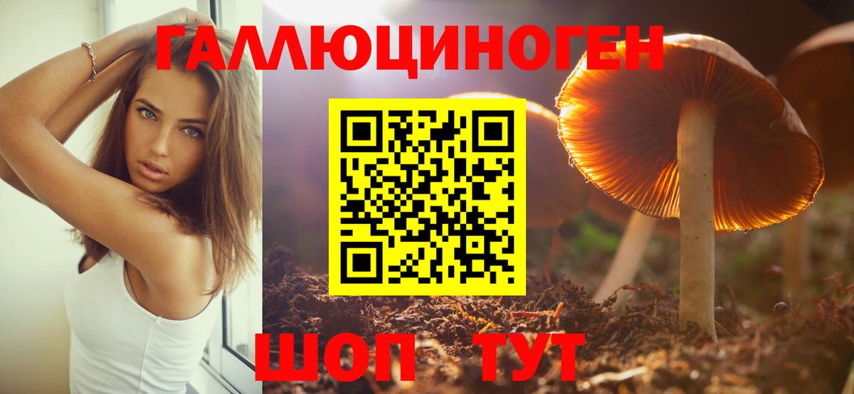 Галлюциногенные грибы Psilocybine cubensis  Вход с VPN  Джанкой 